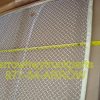 Kenworth T660 Mesh grille